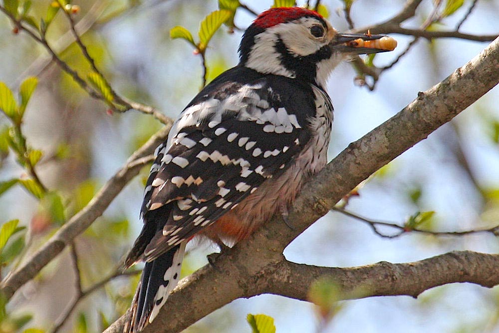 wędrując po naturalnie pięknym regionie