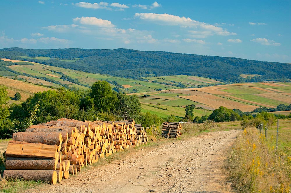 wędrując po naturalnie pięknym regionie