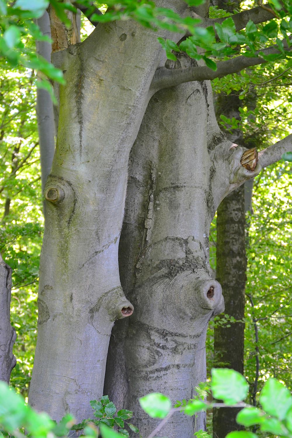 wędrując po naturalnie pięknym regionie